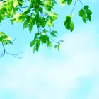 代表あいさつ